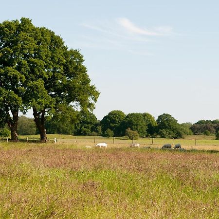 De Rheezer Kamer Hardenberg Bagian luar foto