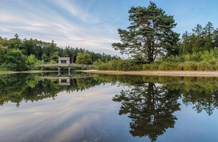 De Rheezer Kamer Hardenberg Bagian luar foto